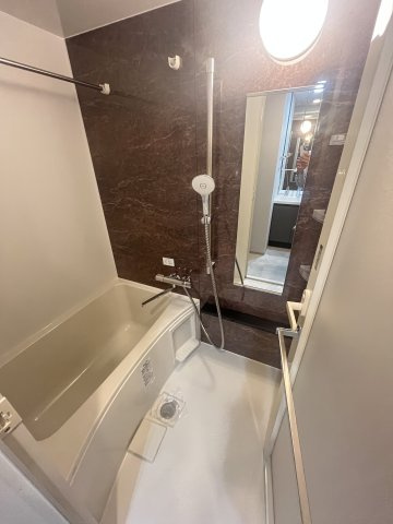 Ｍ－ＲＥＳＩＤＥＮＣＥ亀戸の浴室|お風呂です