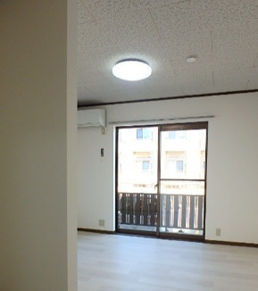 リポサールの展望