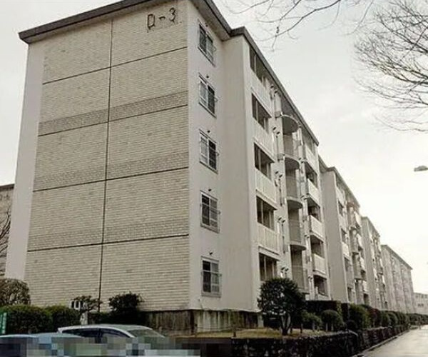藤阪ハイツ　D3練の外観