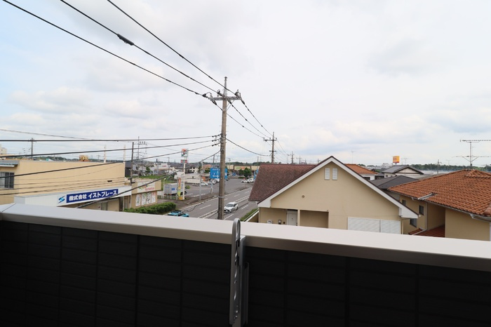 トリシア花水木 Ｍ|窓からの風景