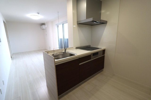 D-Invest栄町のキッチン|対面システムキッチン（3口IH、グリル付き）