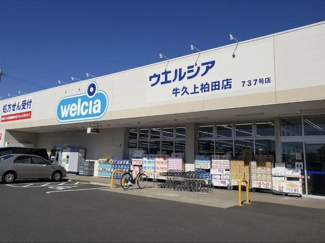レオパレスルミエールの周辺