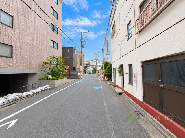 ロイヤルパレス東雪谷のその他|前面道路