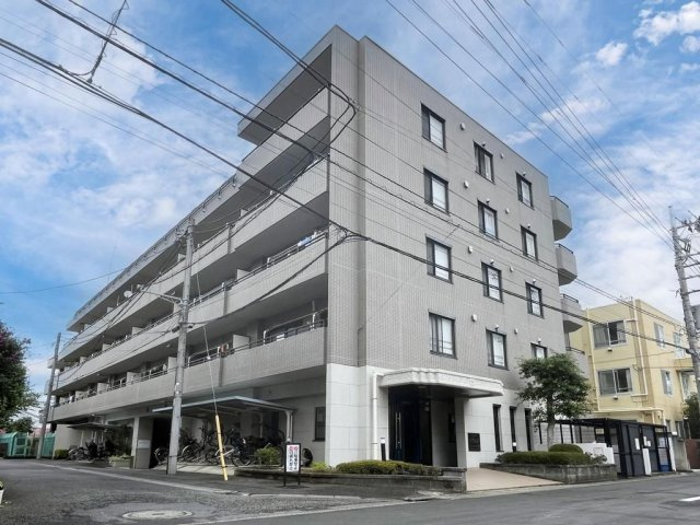コスモ武蔵中原エクセルコートの外観