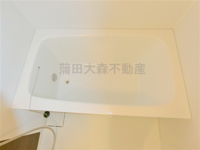 蒲田駅人気賃貸1LDKの浴室