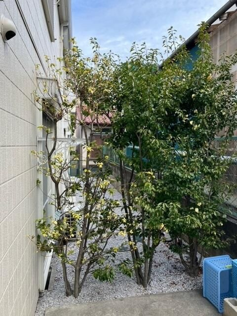 メゾンデザール上原のその他