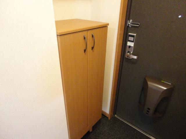 Costa　del　sol　Ⅱ（コスタ　デル　ソル）の玄関|下駄箱