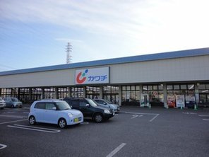 Costa　del　sol　Ⅱ（コスタ　デル　ソル）のその他|カワチ薬品藤代店まで599ｍ