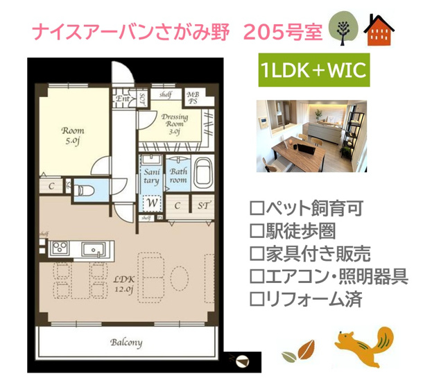 【間取り】 | 暮らしやすさを考えたシンプルな１DKの間取りプラン◎　　　　
生活空間を分けて使いやすい住まいです。