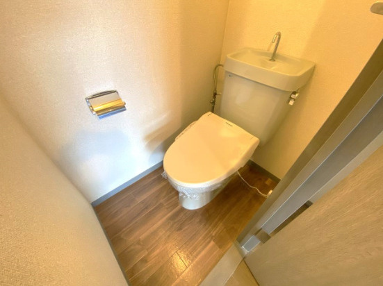 熊本市中央区大江１丁目の賃貸マンションのトイレ|別号室の写真です。