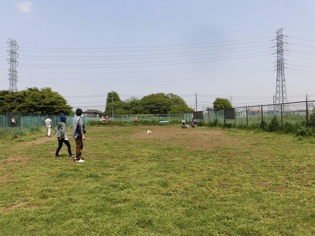 グランシャリオ　ジンのその他|神代公園