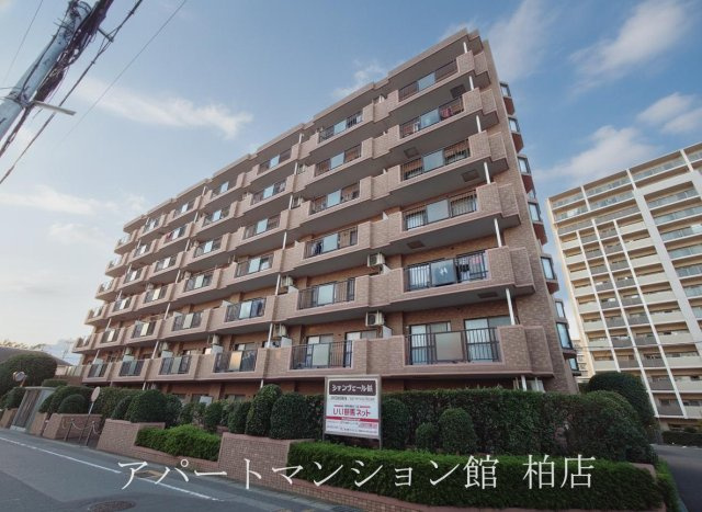 シャンヴェール柏