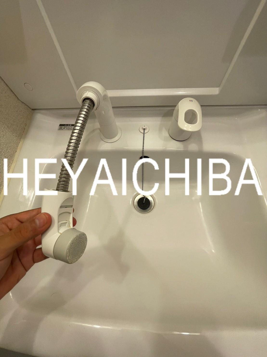 プレール・ドゥーク住吉Ⅱの洗面所|シャンプードレッサー
