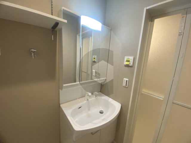 Luis Apartment 長瀬ノールの独立洗面台