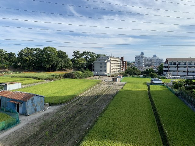 カルム緑地のその他