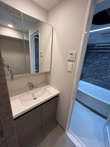 DIPS東十条駅前RESIDENCEの洗面所
