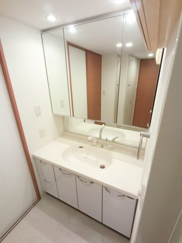 ダイアパレス西千葉グレートハイランドの独立洗面台