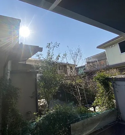 【展望】