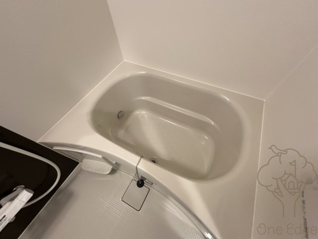 MAISON PREMIER UMEDA NORTHの浴室