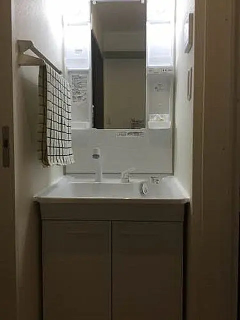 シャーメゾン島田本町の洗面所