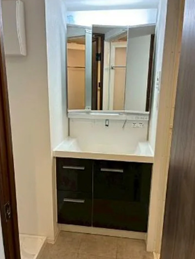 プロスタイルウェルス東武練馬Ⅱの洗面所