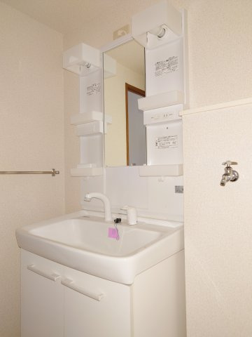 川崎市多摩区菅４丁目の賃貸マンションの洗面所