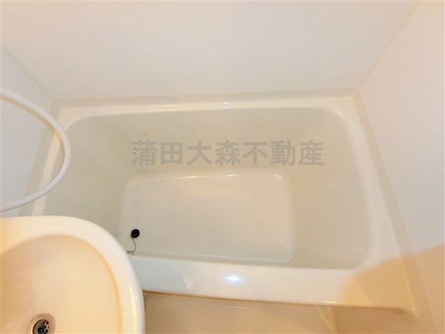 ライジングプレイス蒲田南の浴室
