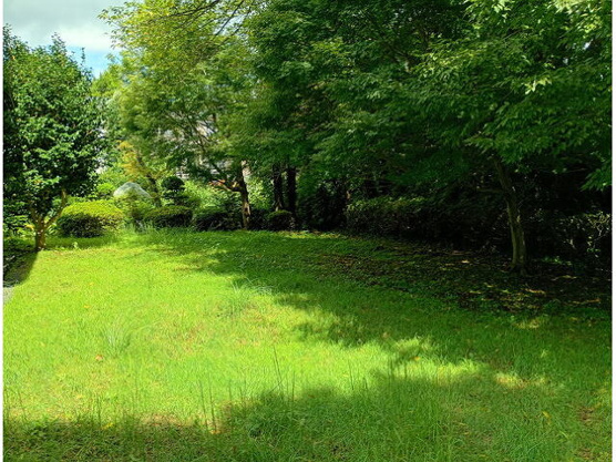 【庭】 | 大室高原別荘地　戸建