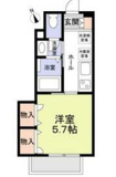 フォレストオルモの画像