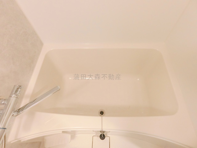 デュオフラッツ大森Eastの浴室