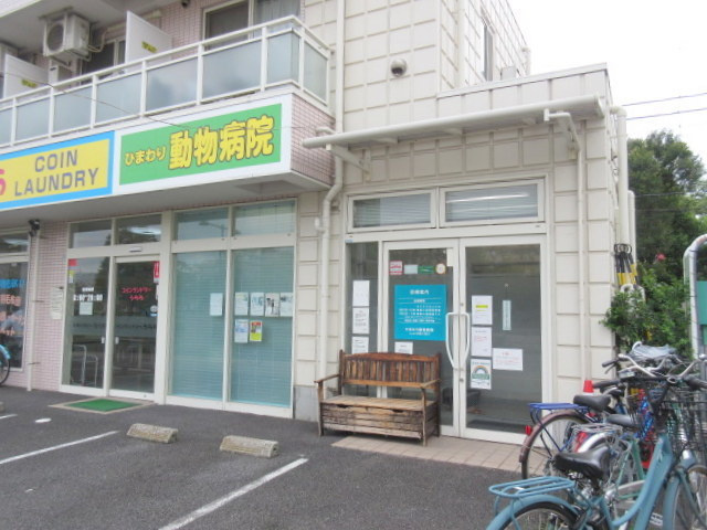 グランメゾンのその他|ひまわり動物病院