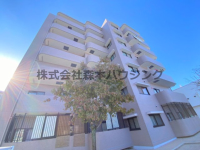 【外観】 | 　グランデージハヤミ | 外はこのようになっています