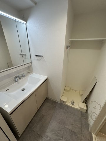 ソルテラスUMEDA NORTHの洗面所