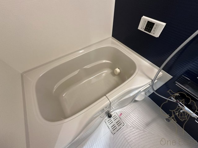 ソルテラスUMEDA NORTHの浴室