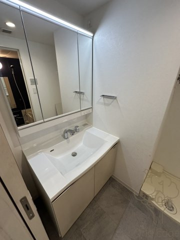 ソルテラスUMEDA NORTHの独立洗面台