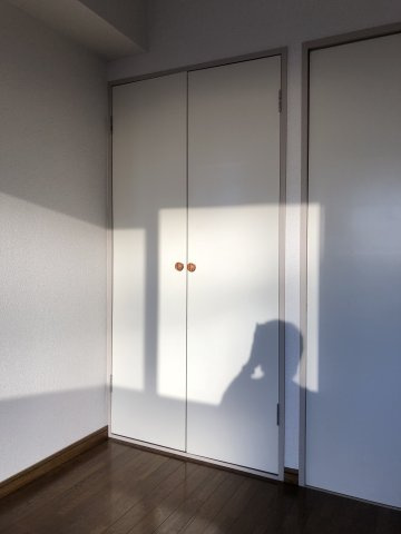 川崎市多摩区宿河原６丁目の賃貸マンションの収納