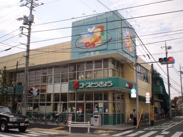 ＫＵＫＵＮＡＫＯＩＷＡ　Ⅰ　ククナコイワワンのその他|ミニコープ小岩店