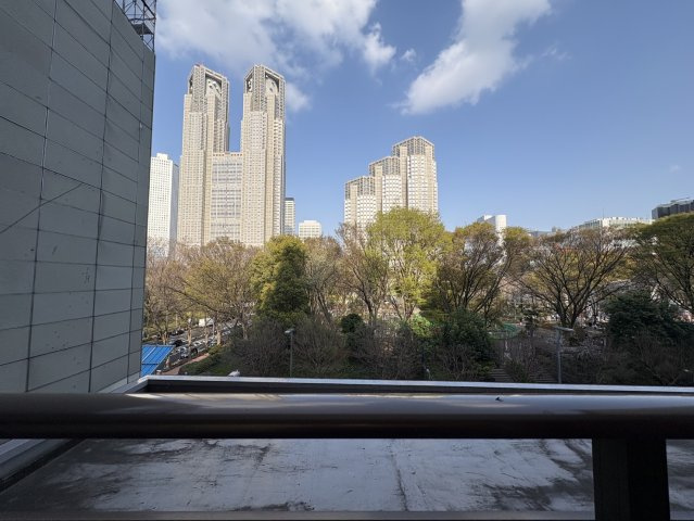 ハイネスロフティの庭|お部屋から都庁や新宿中央公園が臨めます