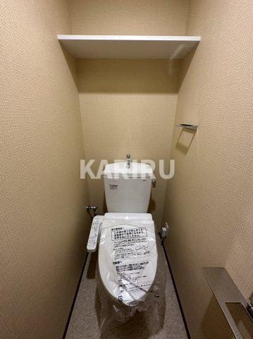 ロイヤルクィーンズパーク浪速のトイレ