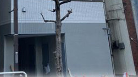 Maison de Mのエントランス