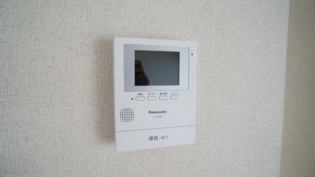 スノードロップのセキュリティ