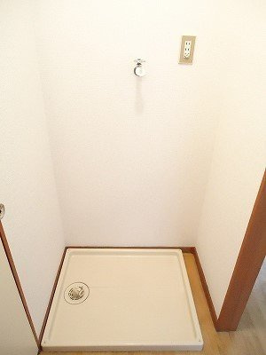 スノードロップのその他