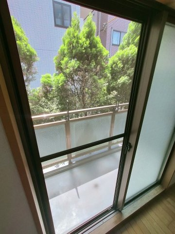 プロスペラルのその他
