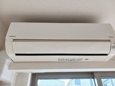 プリムローズゲートのその他