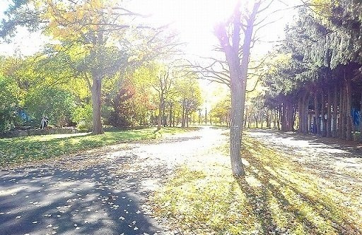パークサイドＢの周辺|屯田西公園まで200m
