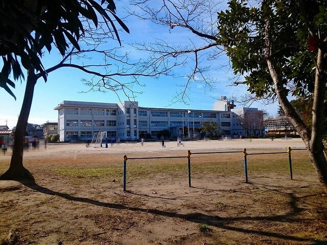 ソル・レヴェンテの周辺|市原市立若宮小学校まで550m