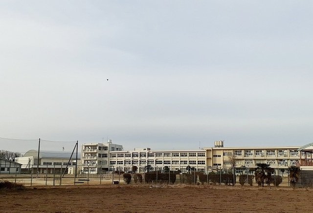 メゾンド　ソレイユ　ブランの周辺|市立前渡小学校まで1400m