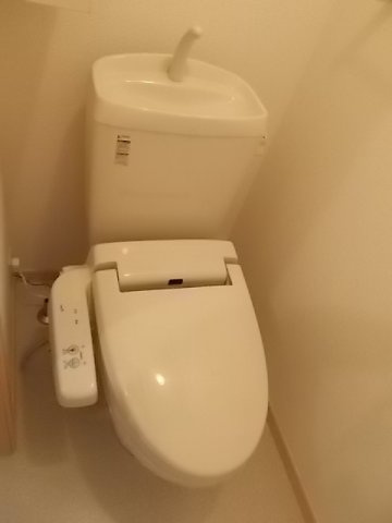 ラフレシール　Ｂのその他