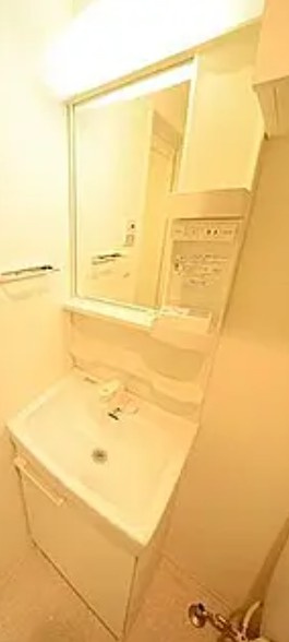 プレール・ドゥーク高円寺Ⅱの洗面所