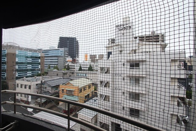 エイトバレー54の展望